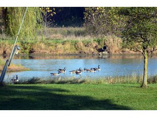 Property photo 119 - EHLE FARMS AUCTION - 118+/- ACRES IN 9 TRACTS IN ALLEN COUNTY, INDIANA
